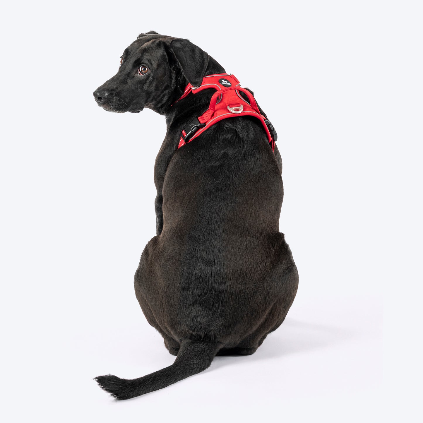HUFT Xplorers Harness For Dog - Red_02
