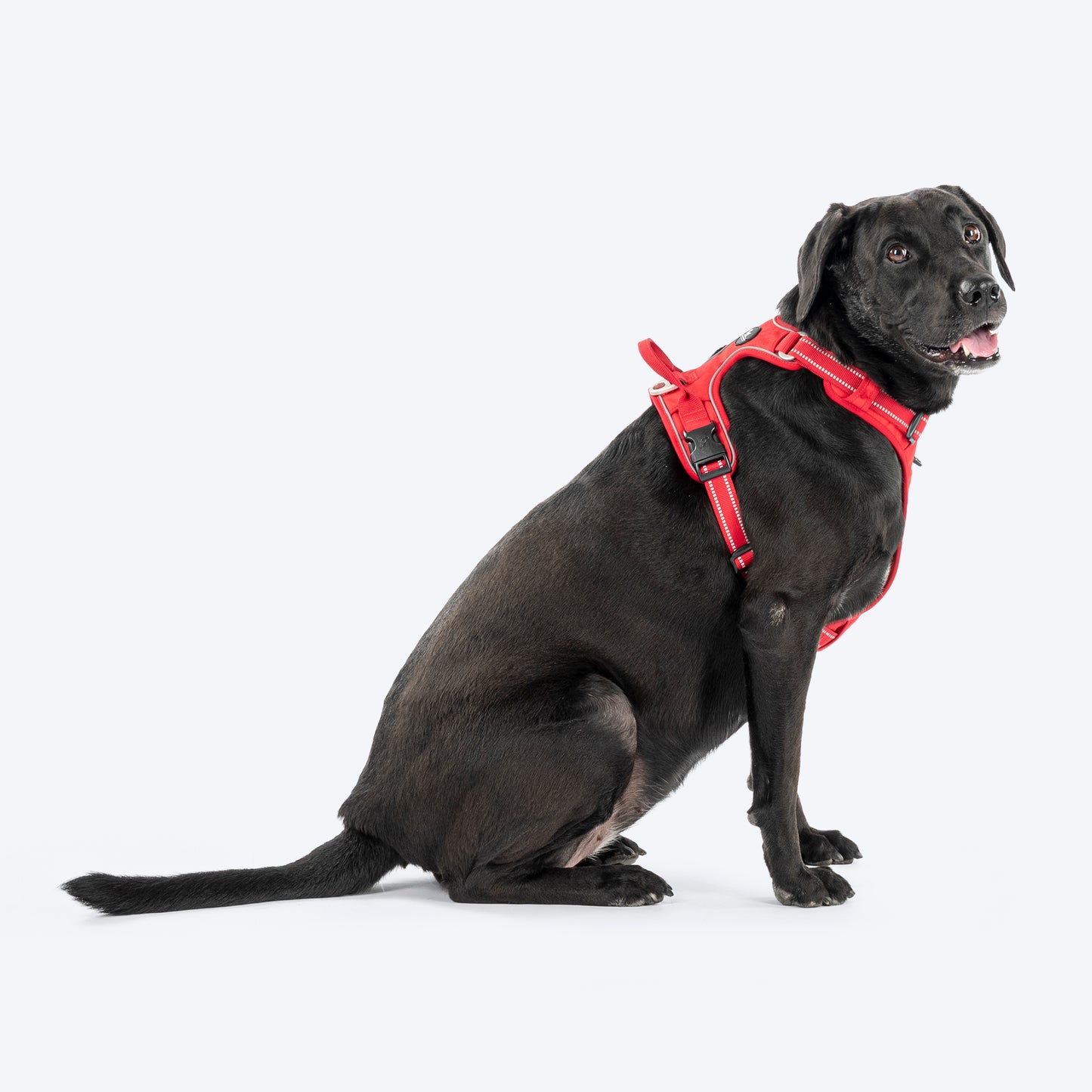HUFT Xplorers Harness For Dog - Red_03