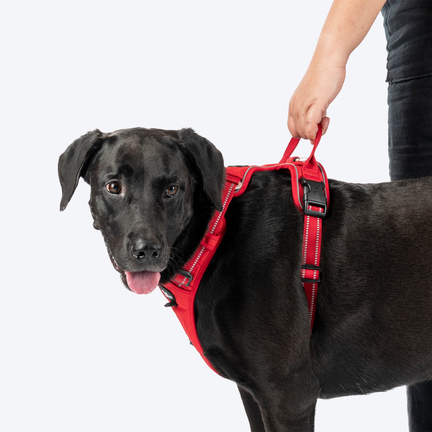 HUFT Xplorers Harness For Dog - Red_04
