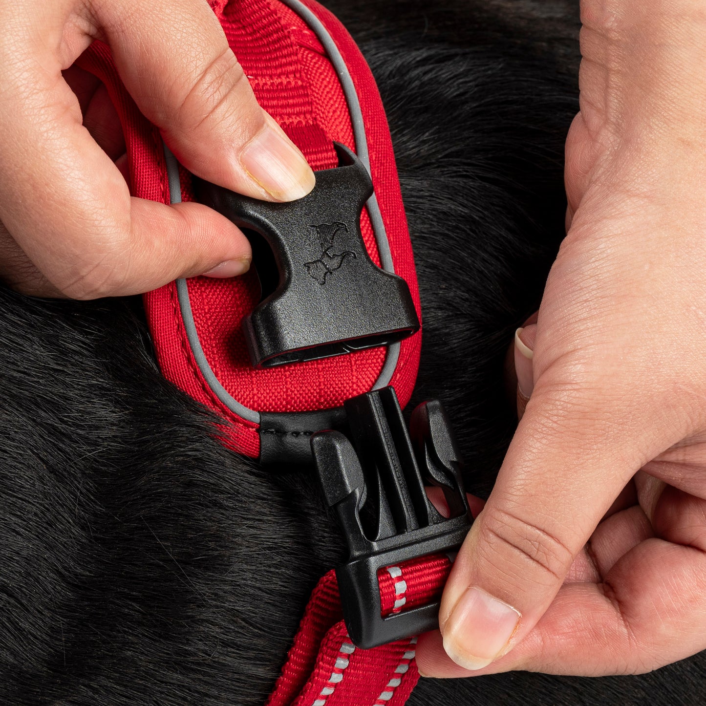 HUFT Xplorers Harness For Dog - Red_06