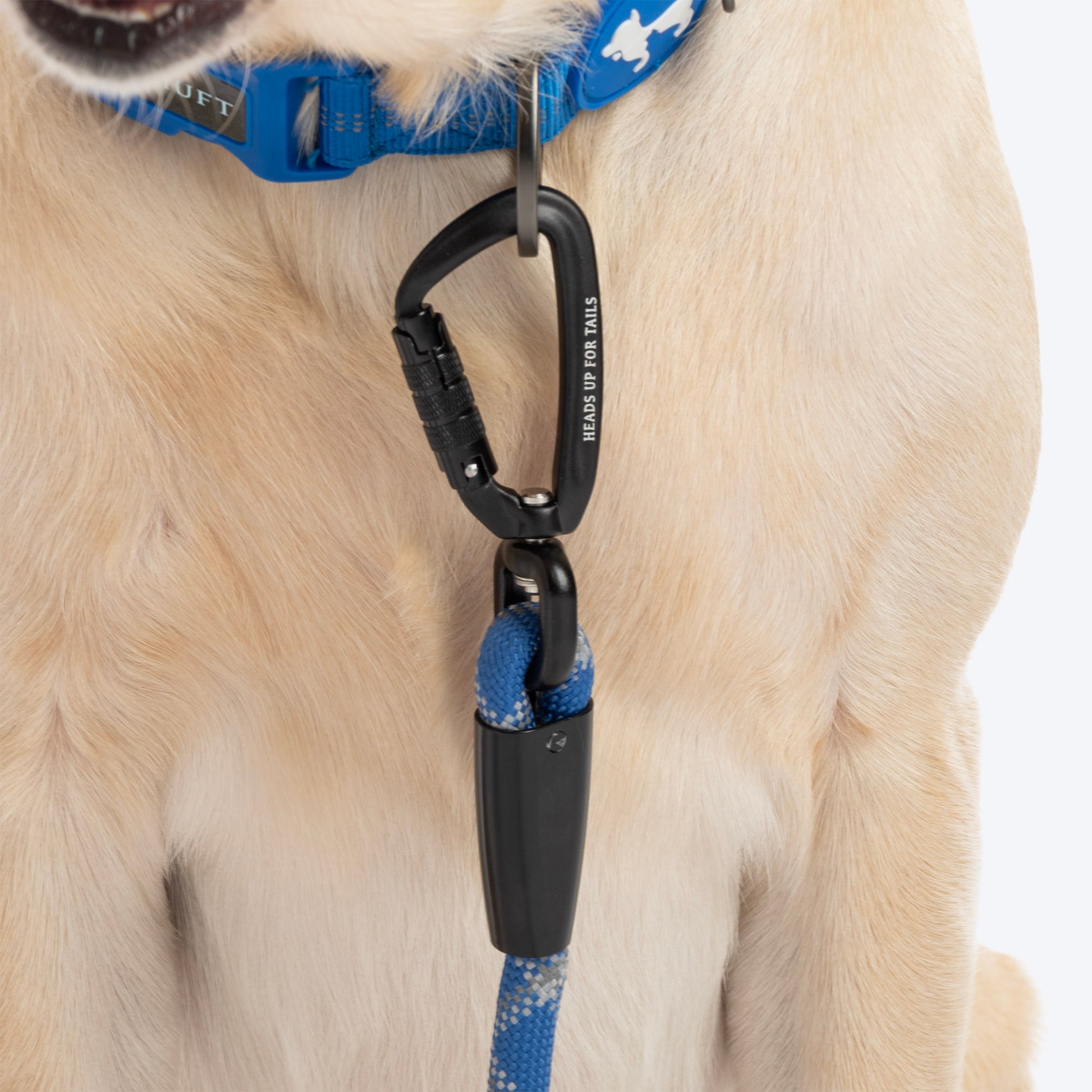 HUFT Xplorers Rope Leash With Carabiner For Dog - Blue - 5 ft_04
