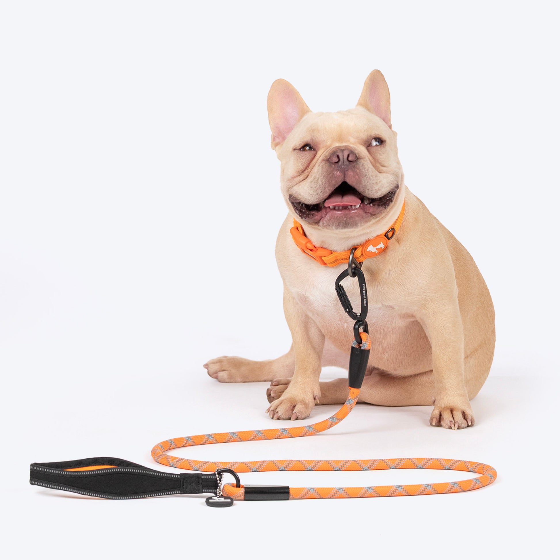 HUFT Xplorers Rope Leash With Carabiner For Dog - Orange - 5 ft_02