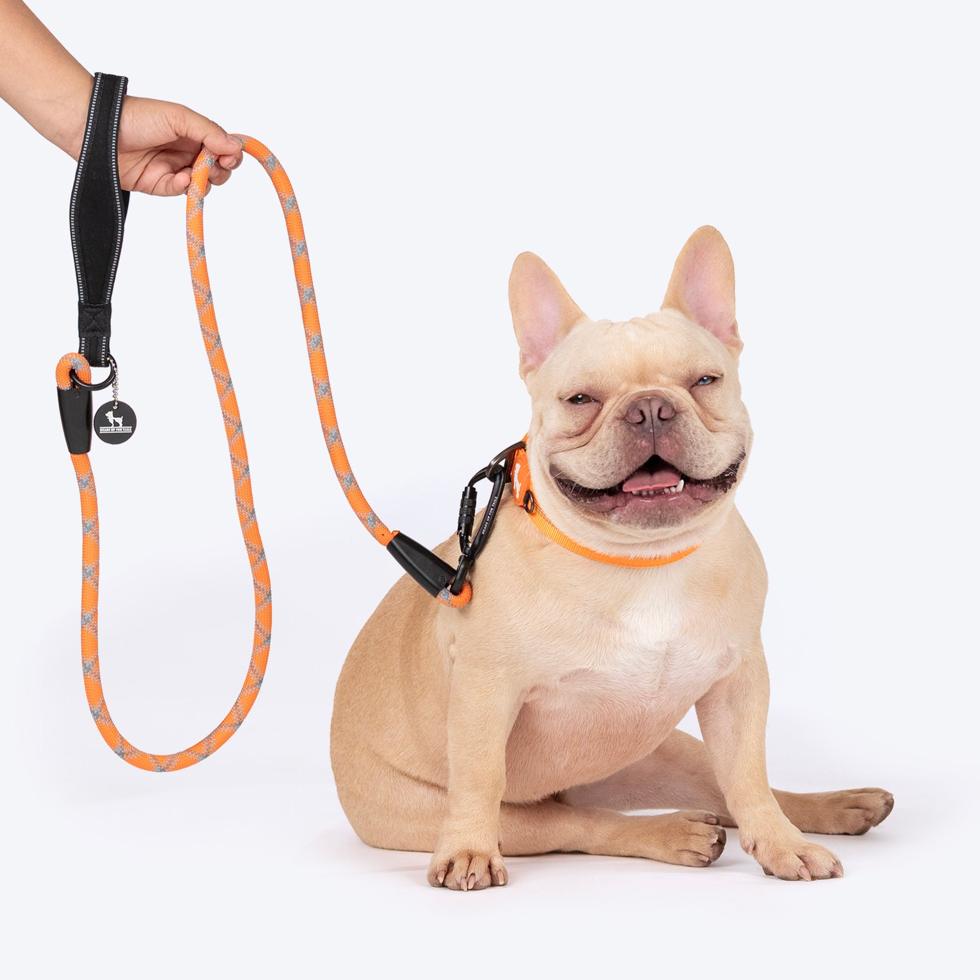 HUFT Xplorers Rope Leash With Carabiner For Dog - Orange - 5 ft_03