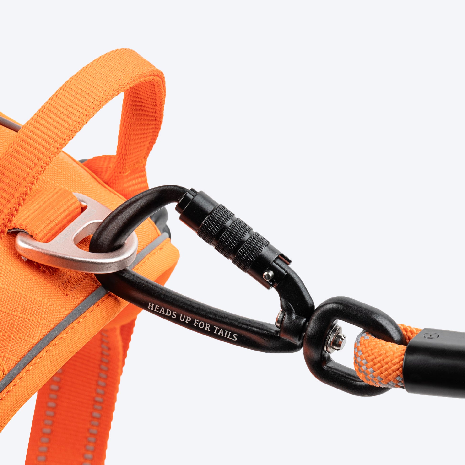 HUFT_Xplorers_Rope_Leash_With_Carabiner_For_Dog_-_Orange_-_5_ft_09