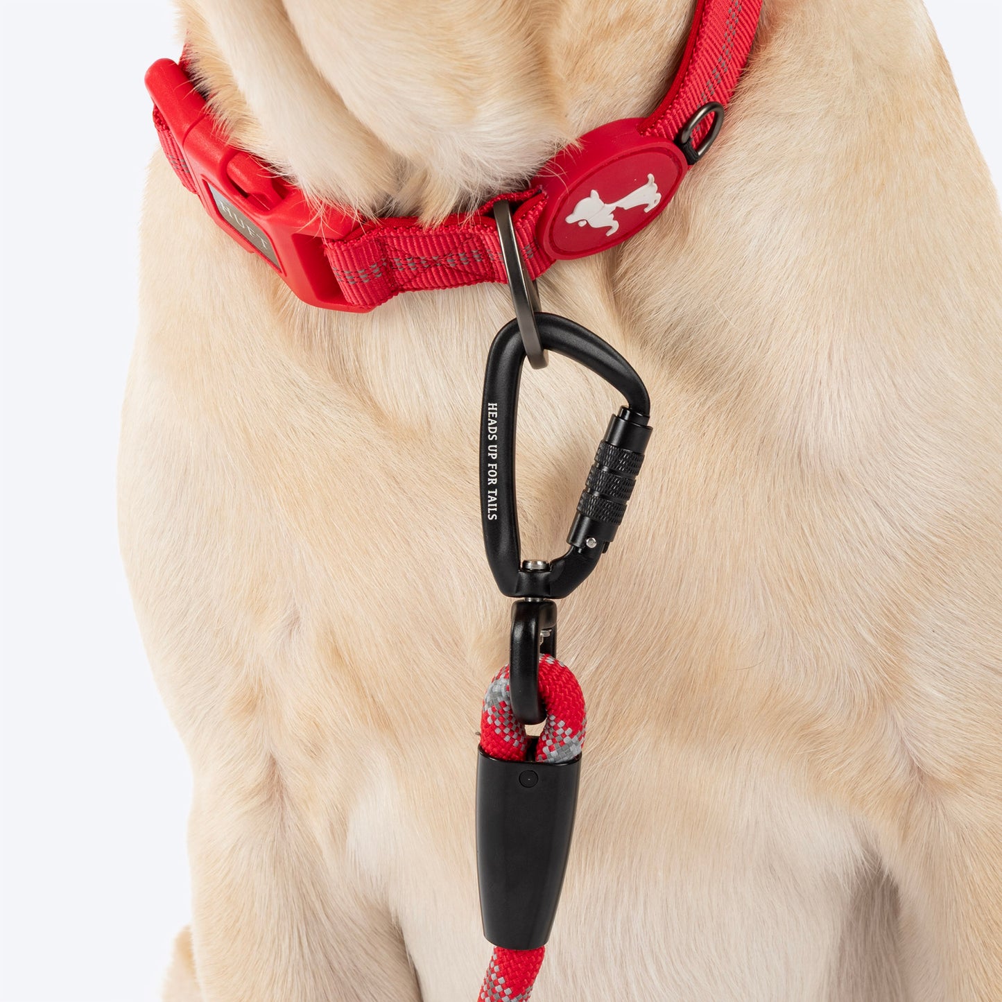 HUFT Xplorers Rope Leash With Carabiner For Dog - Red - 5 ft_04