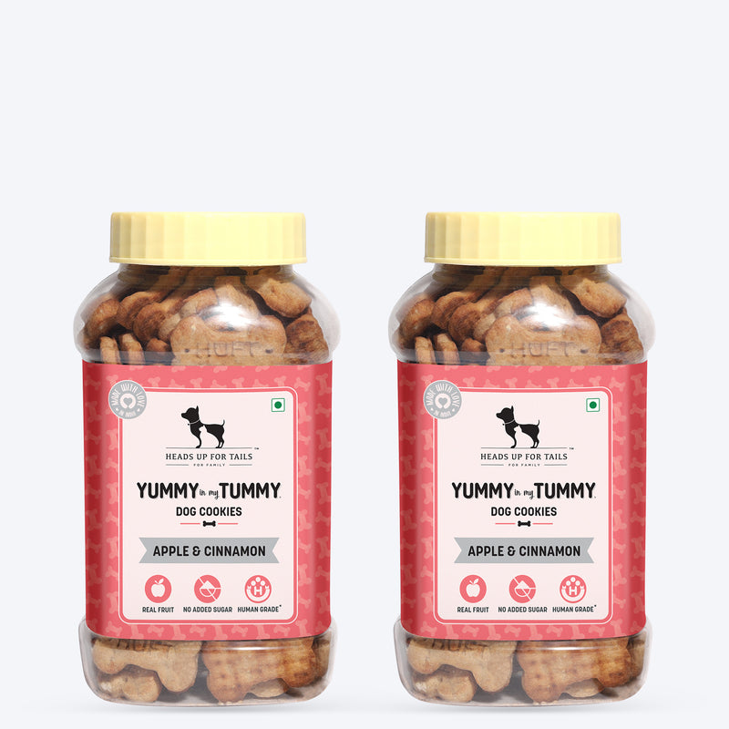 HUFT Yummy In My Tummy Apple & Cinnamon Vegetarian Dog Biscuits - 320 gm - Heads Up For Tails
