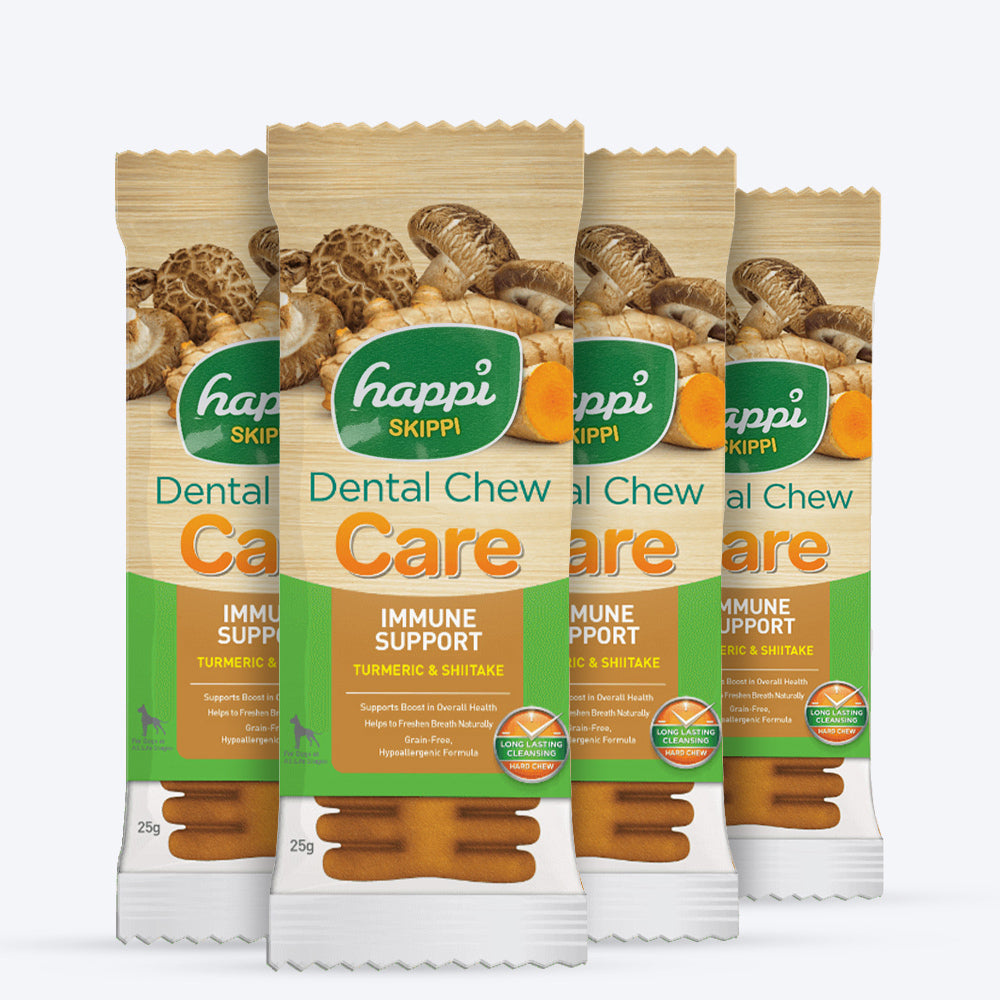 Happi Skippi Dental Chew Care Turmeric & Shiitake Grain Free Dog Treat - Single - 23 gm - Heads Up For Tails