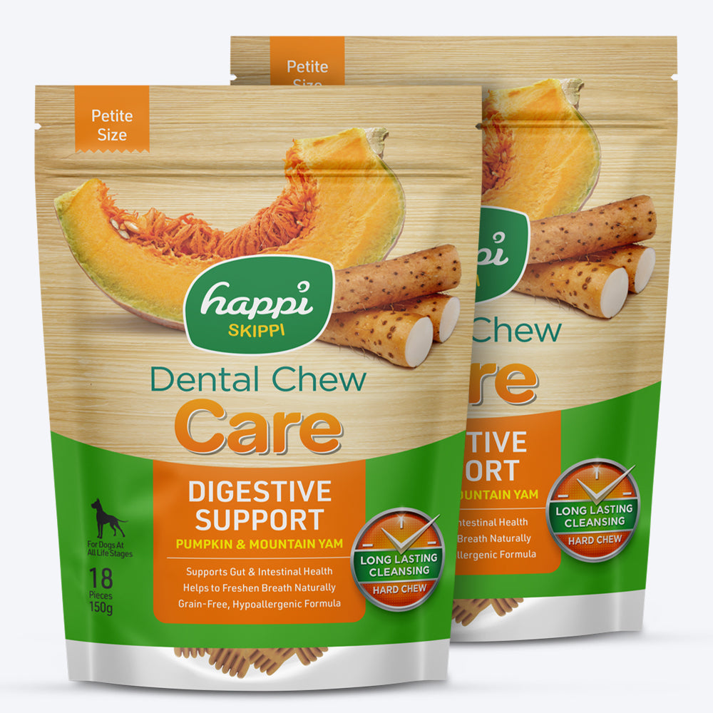 Happi Skippi Dental Chew Digestive Support Pumpkin & Mountain Yam Dog Treats - Petite 2.5 inch - 150 gm - Heads Up For Tails