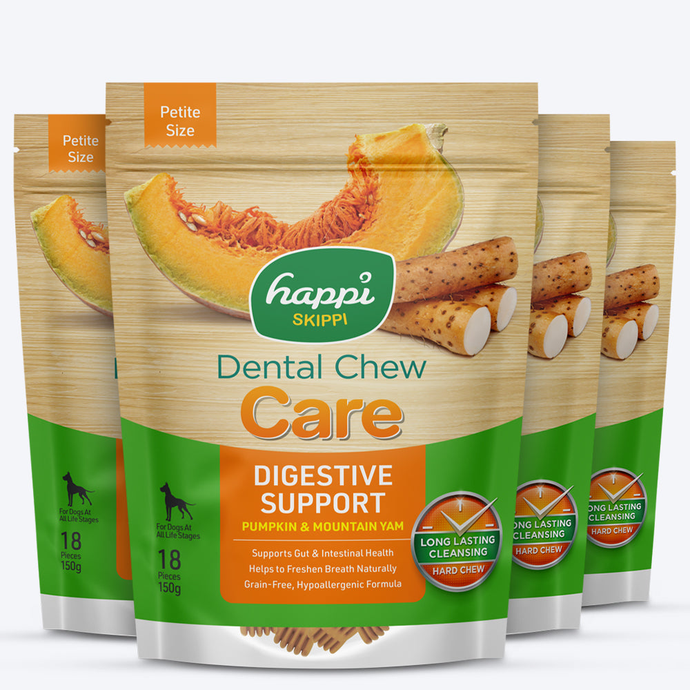 Happi Skippi Dental Chew Digestive Support Pumpkin & Mountain Yam Dog Treats - Petite 2.5 inch - 150 gm - Heads Up For Tails