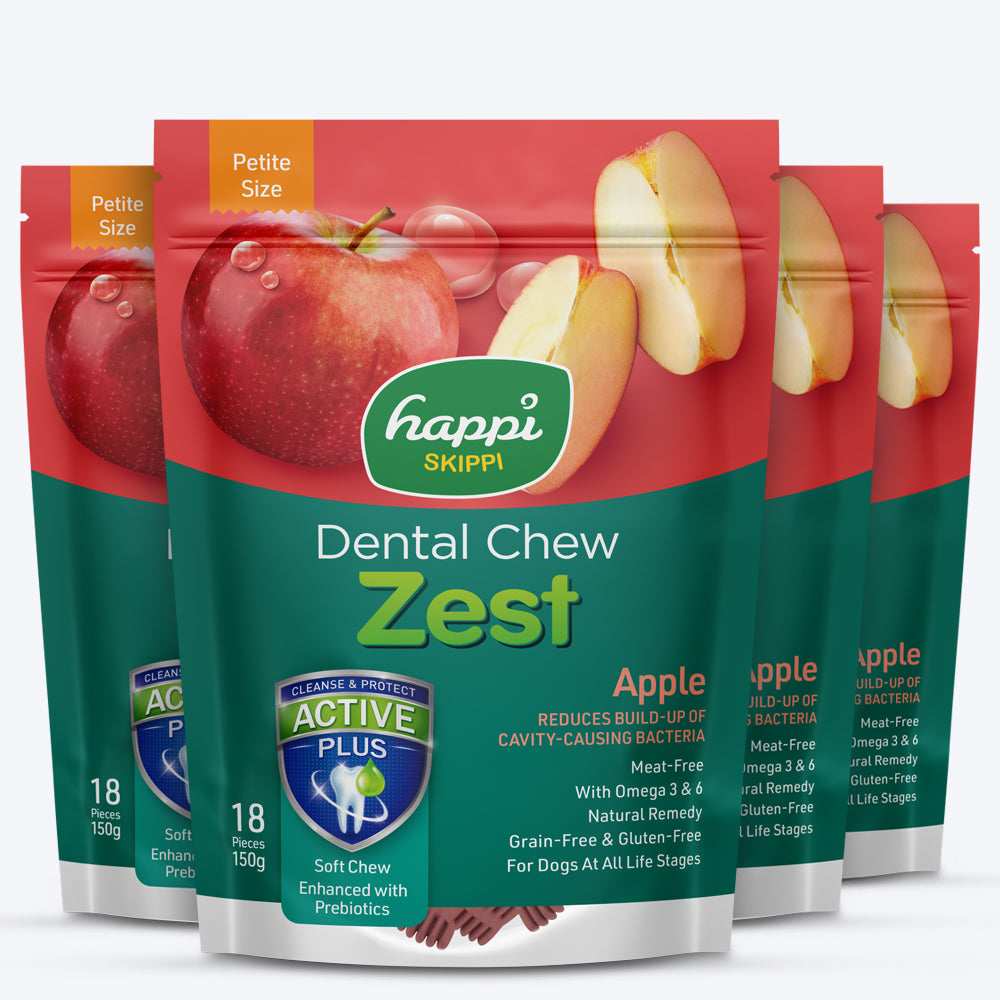 Happi Skippi Dental Chew Zest Apple Dog Treat - Petite 2.5 inch - 150 gm - Heads Up For Tails
