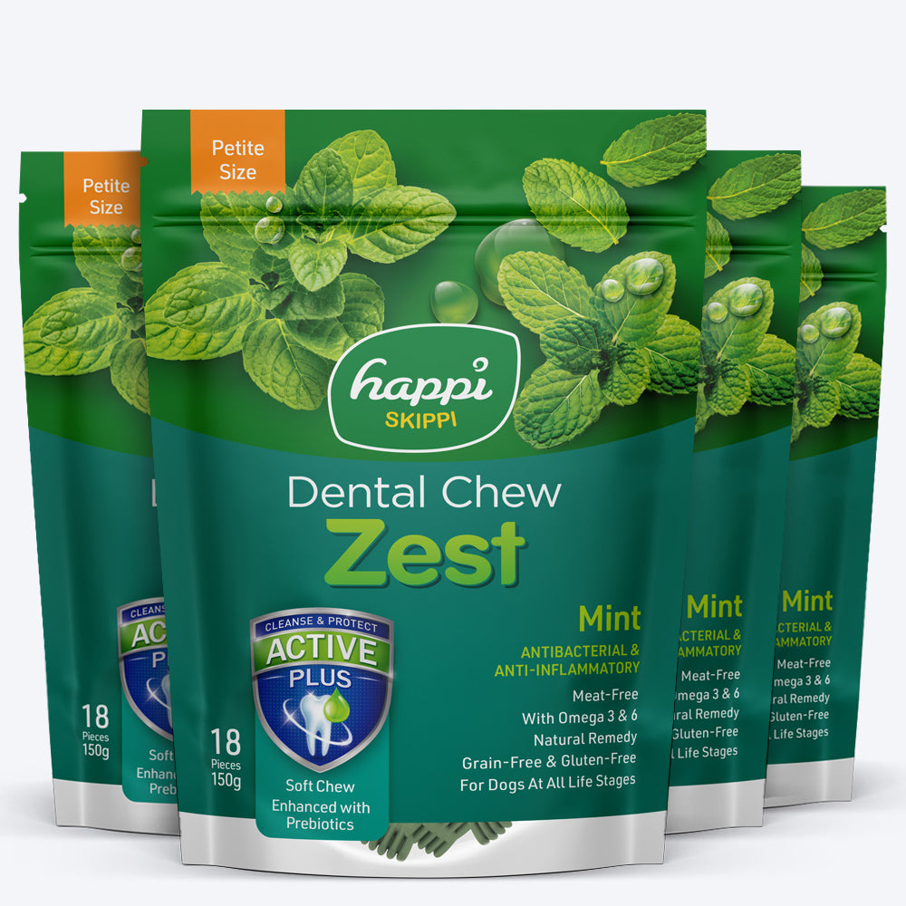 Happi Skippi Vegetarian Dental Chew - Zest - Mint - Petite - 2.5 inch - 150 g - 18 Pieces_03