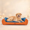 HUFT EasyStep Herring Lounger Bed For Dog - Orange & Blue - Heads Up For Tails