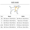 Dash Dog Radiant Blaze Easy Walk Harness For Dog - Orange - Heads Up For Tails