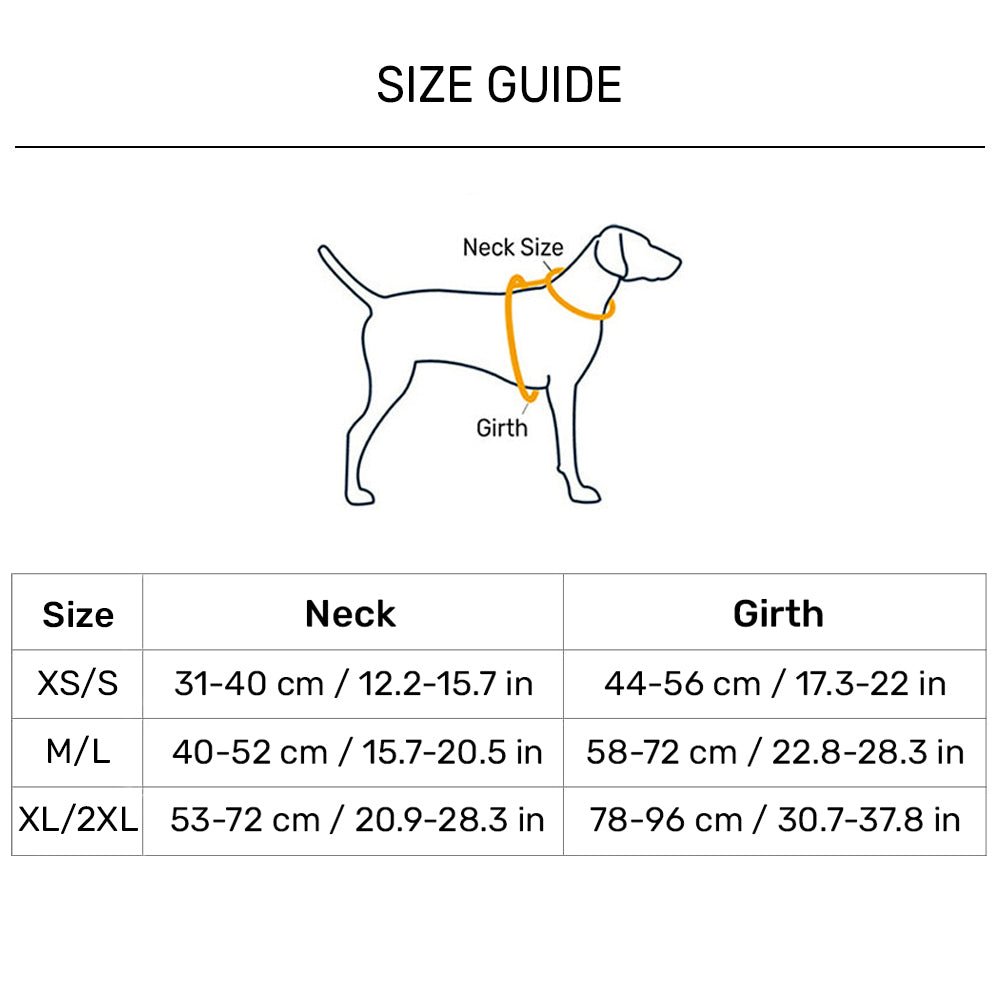 Dash Dog Super Stride Walk Along Harness For Dog - Orange - Heads Up For Tails