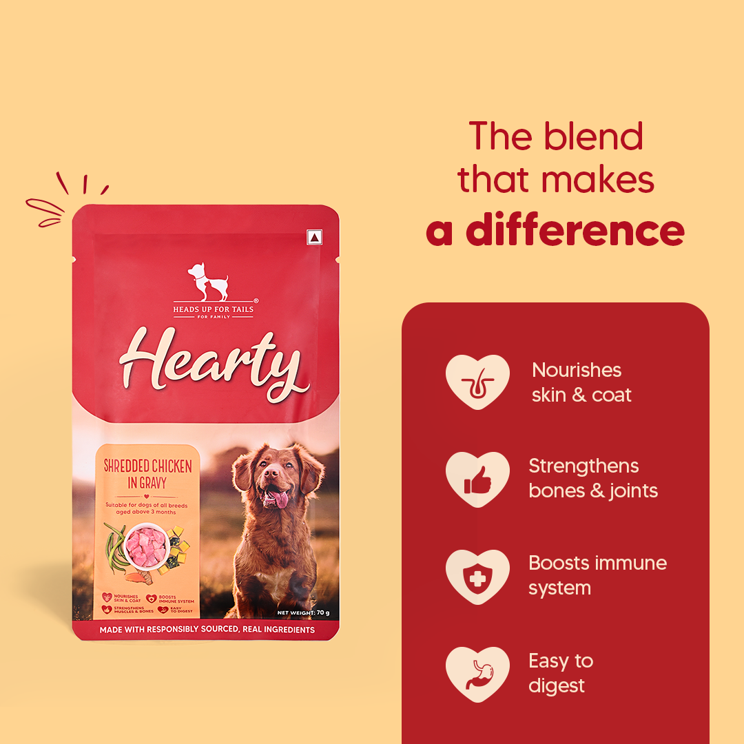 Hearty Shredded Chicken & Pumpkin In Gravy Dog Wet Food - 70 g - Heads Up For Tails