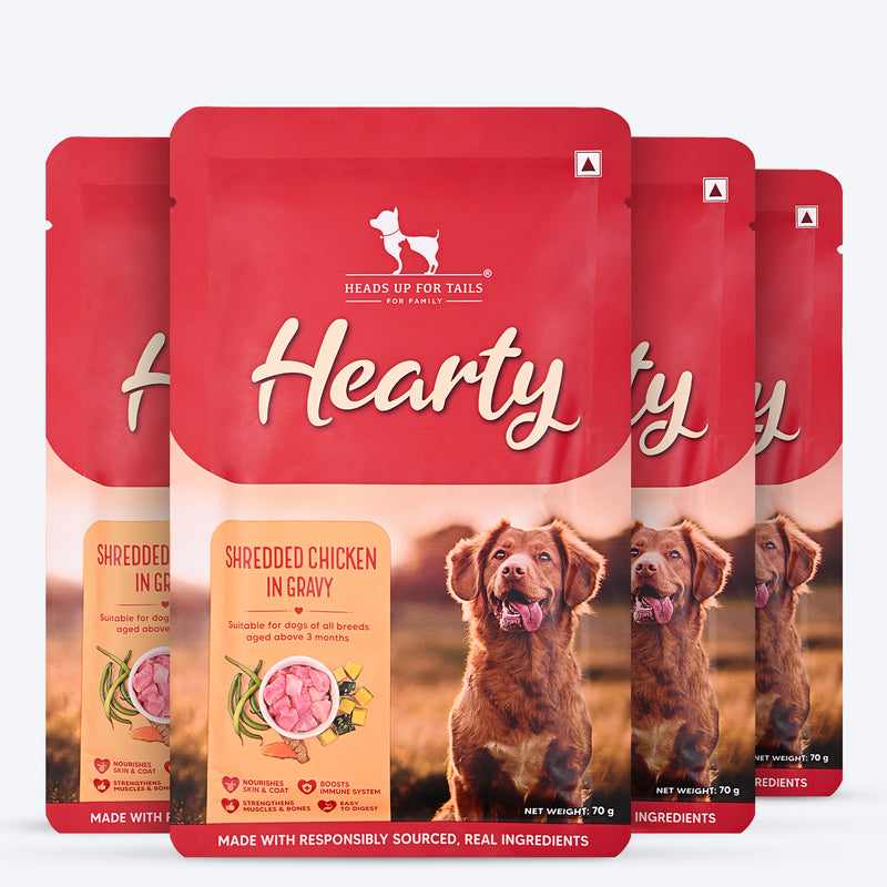 Hearty Shredded Chicken & Pumpkin in Gravy dog food by Heads Up for Tails, 70 g pouch. Suitable for all breeds.
