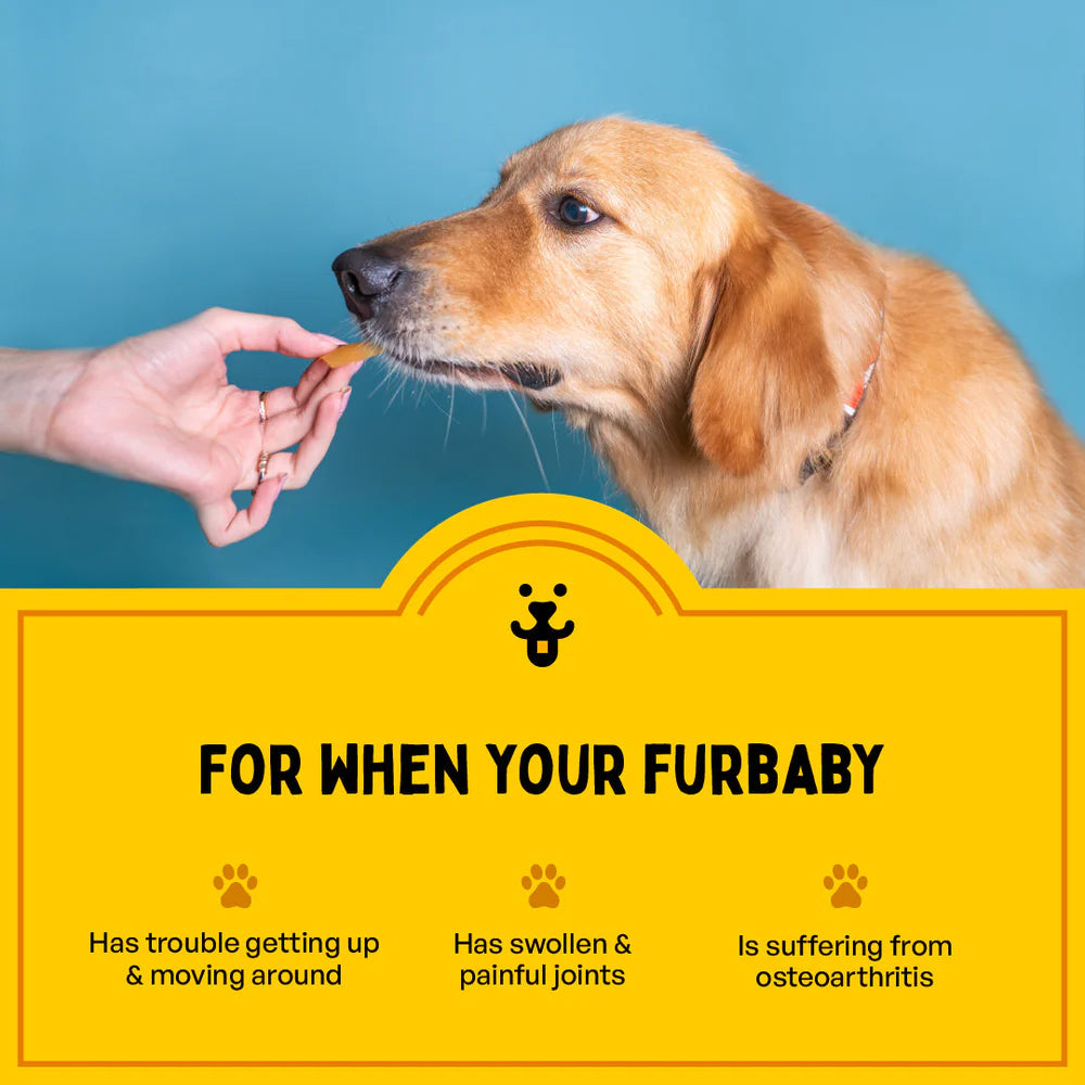 Furlicks Hip & Joint Peanut Butter Pet Oral Food Supplement - 45g (30 Strips) - Heads Up For Tails