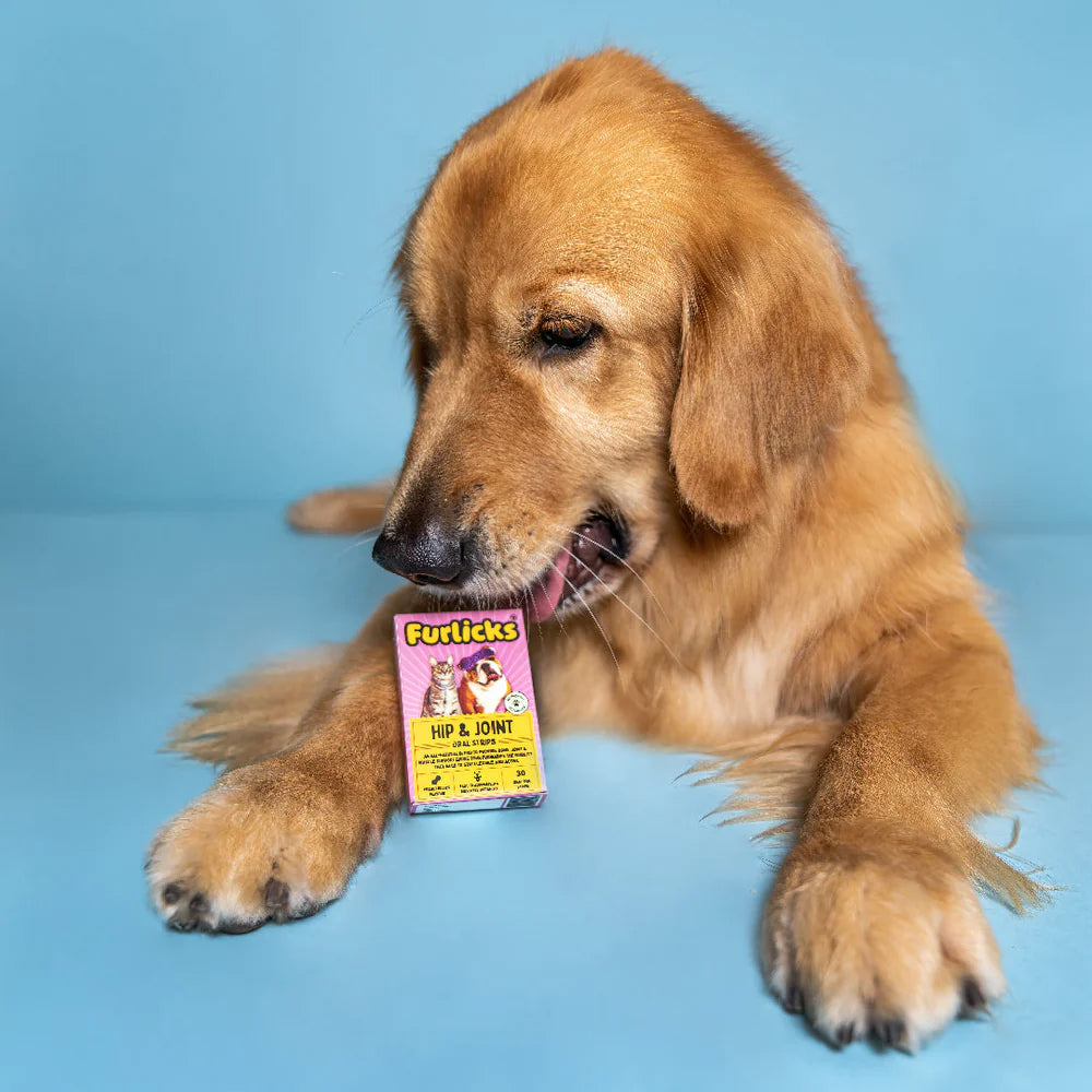 Furlicks Hip & Joint Peanut Butter Pet Oral Food Supplement - 45g (30 Strips) - Heads Up For Tails