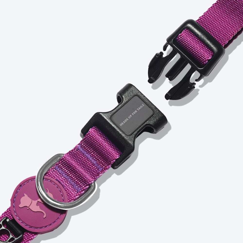 HUFT Personalised Classic Dog Collar - Purple_08