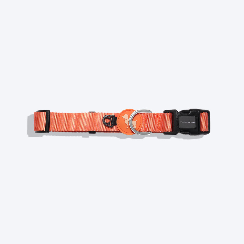 HUFT Classic Dog Collar - Orange (Can be Personalised) - Heads Up For Tails