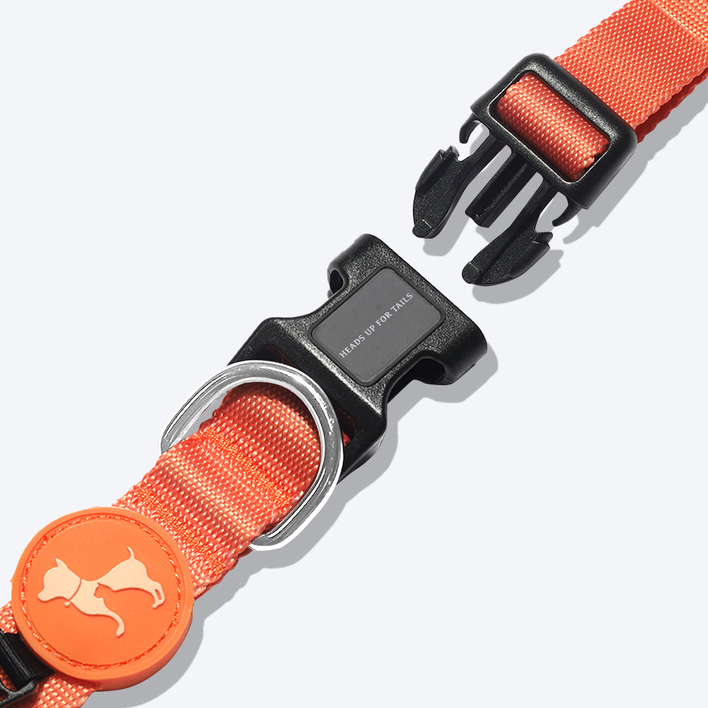 HUFT Classic Dog Collar - Orange (Can be Personalised) - Heads Up For Tails