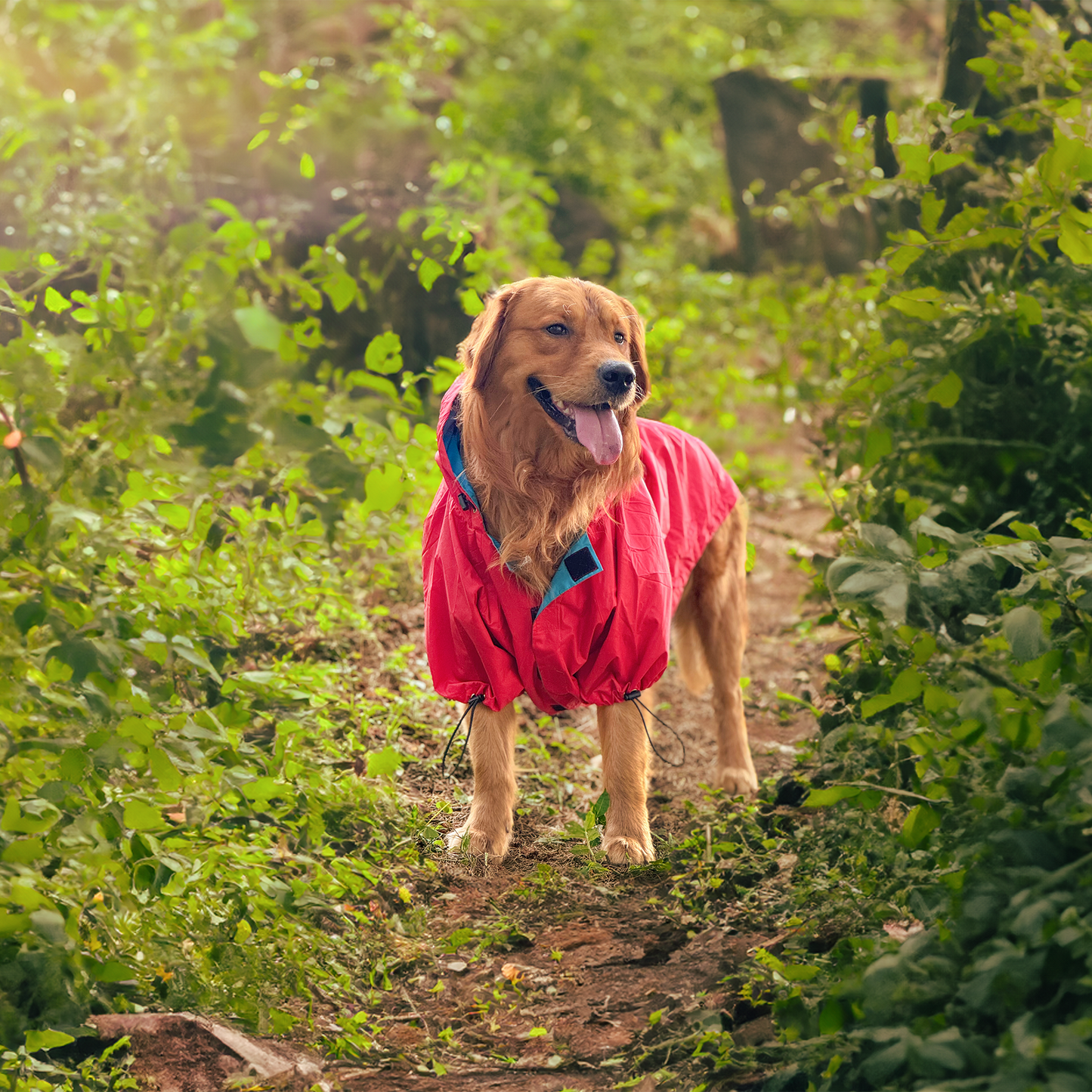 HUFT Magical Mist Raincoats For Dog & Cat - Coral - Heads Up For Tails