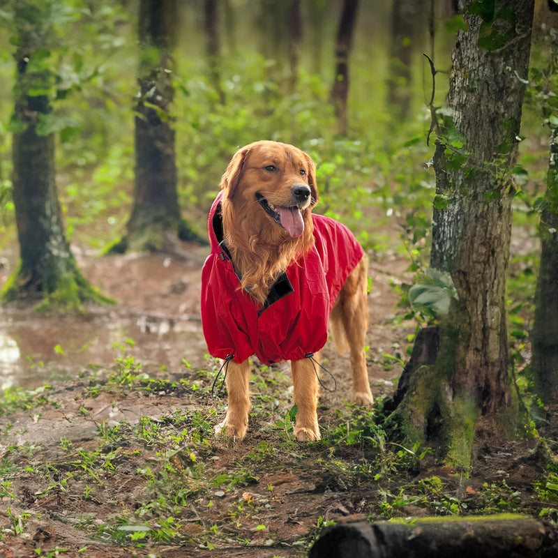HUFT Magical Mist Dog Raincoat - Red - Heads Up For Tails