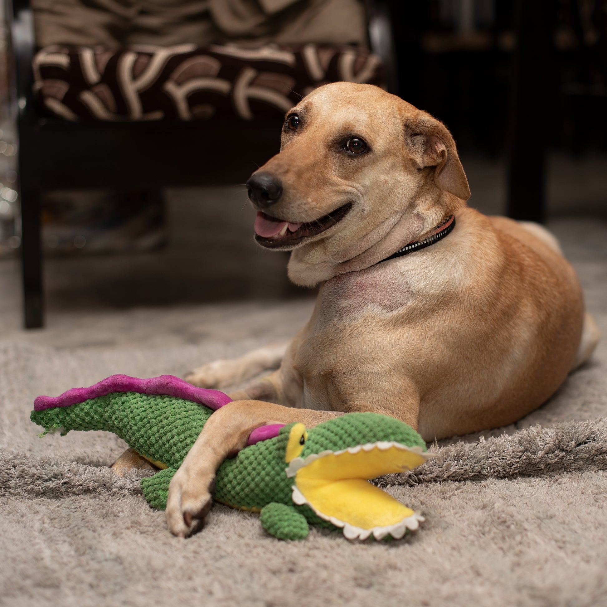 Barkbutler Aly The Gator Squeaky Plush Toy For Dog - Green - Heads Up For Tails