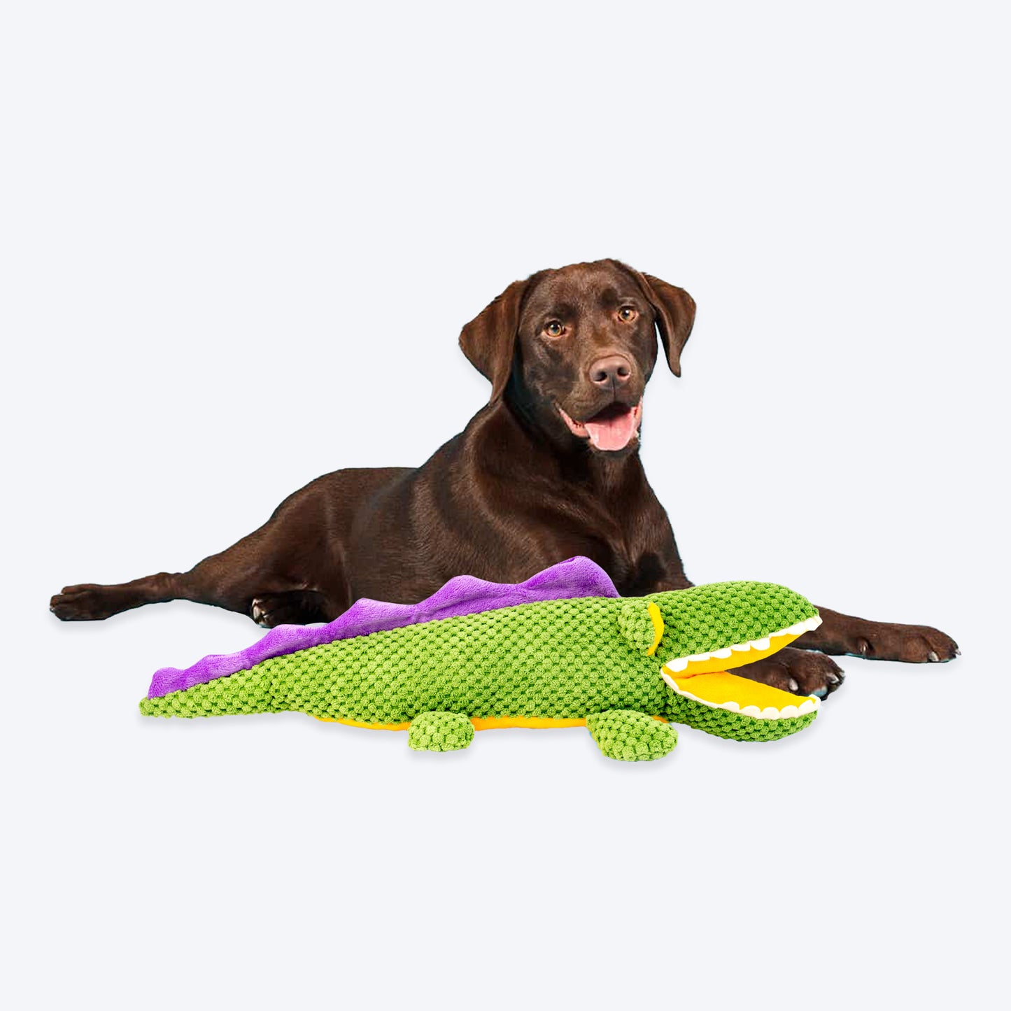 Barkbutler Aly The Gator Squeaky Plush Toy For Dog - Green - Heads Up For Tails