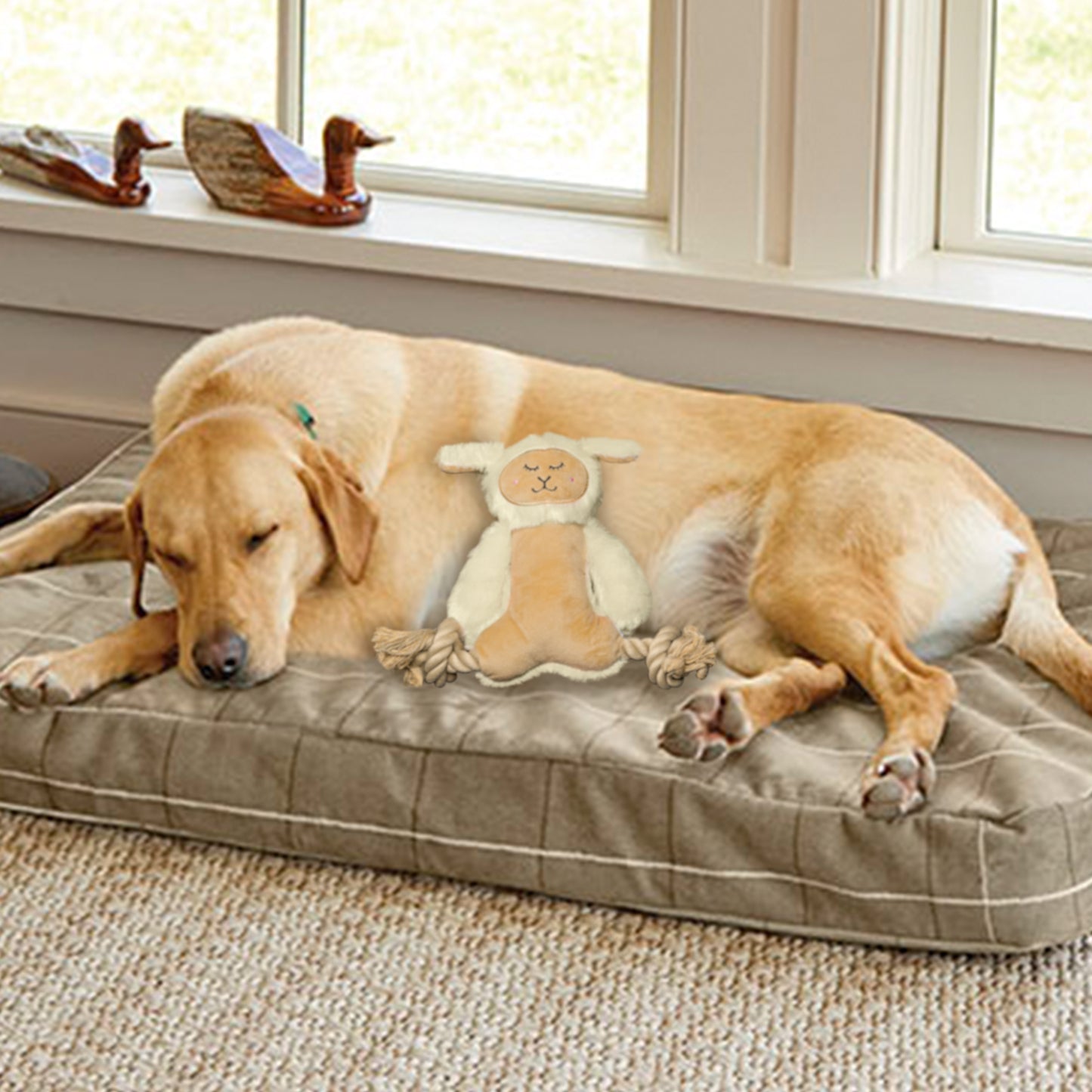 FOFOS Rope leg Sheep Squeaky Plush Toy For Dog - Beige & Off White - Heads Up For Tails