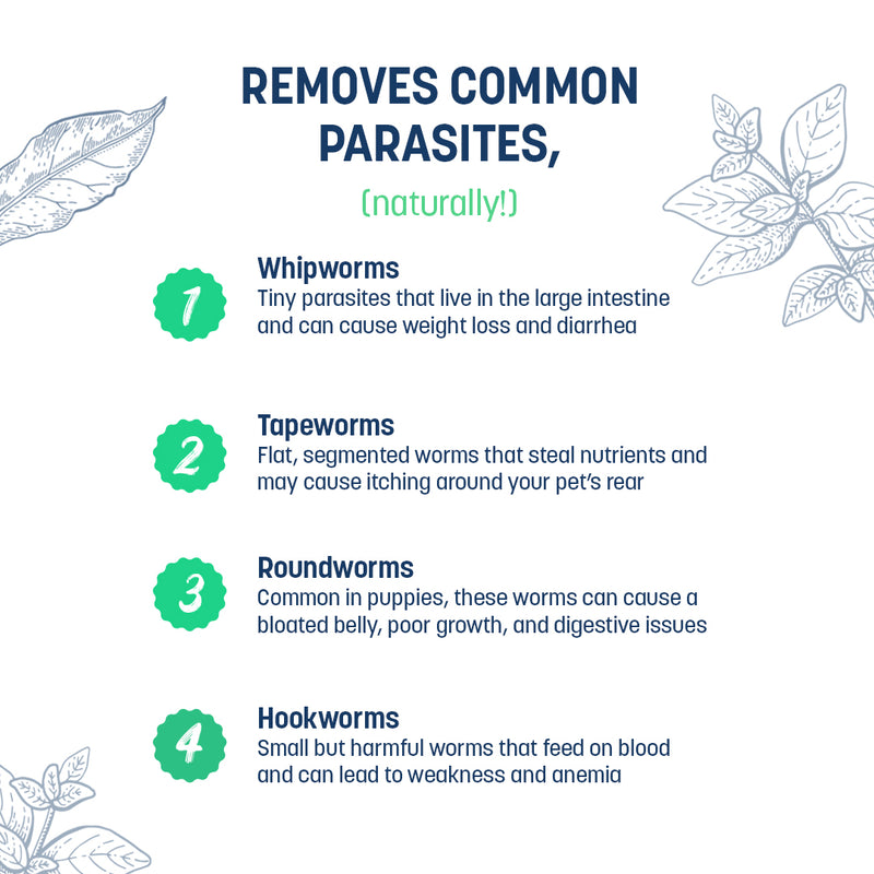Sara's Natural Dewormer Supplement for Dogs, 200 gm, helps remove intestinal parasites naturally.