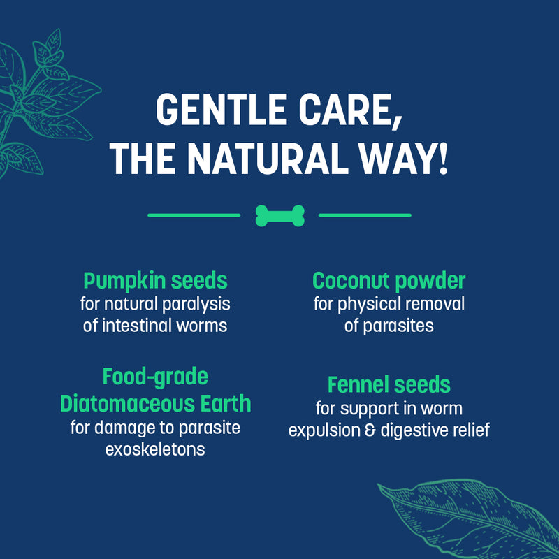 Sara's Natural Dewormer Supplement for Dogs, 200 gm, helps remove intestinal parasites naturally.