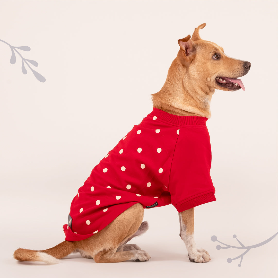 HUFT Polka Dot Sweatshirt For Pets - Red - Heads Up For Tails