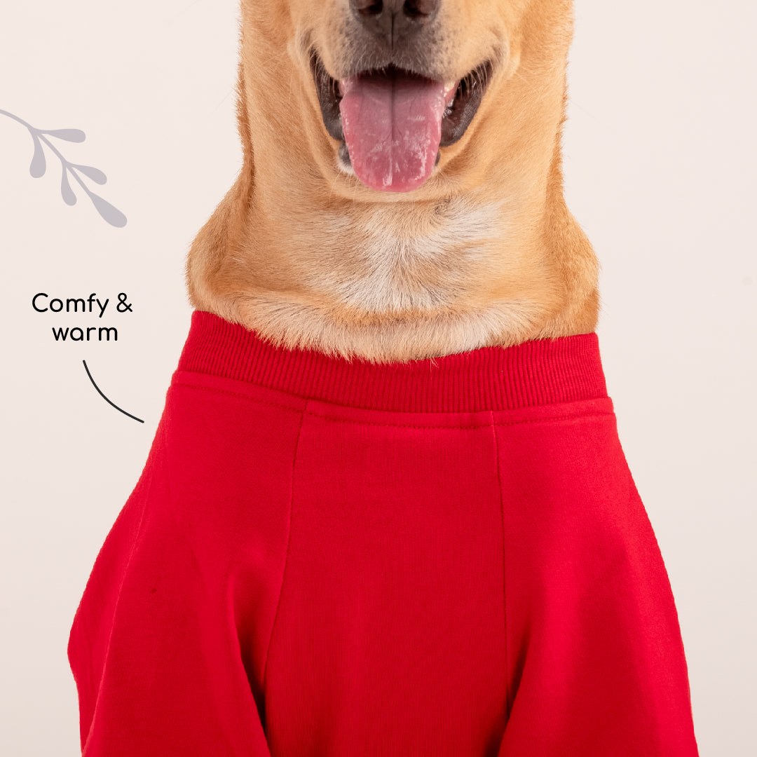 HUFT Polka Dot Sweatshirt For Pets - Red - Heads Up For Tails