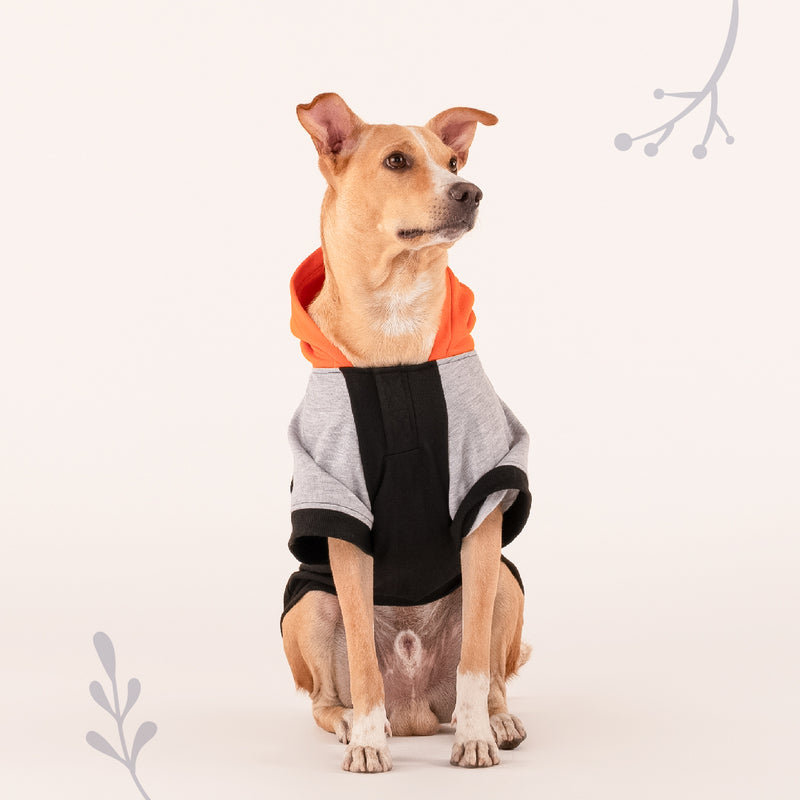 HUFT Colour Block Hoodie Sweatshirt For Pets- Black - Heads Up For Tails