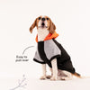 HUFT Colour Block Hoodie Sweatshirt For Pets- Black - Heads Up For Tails