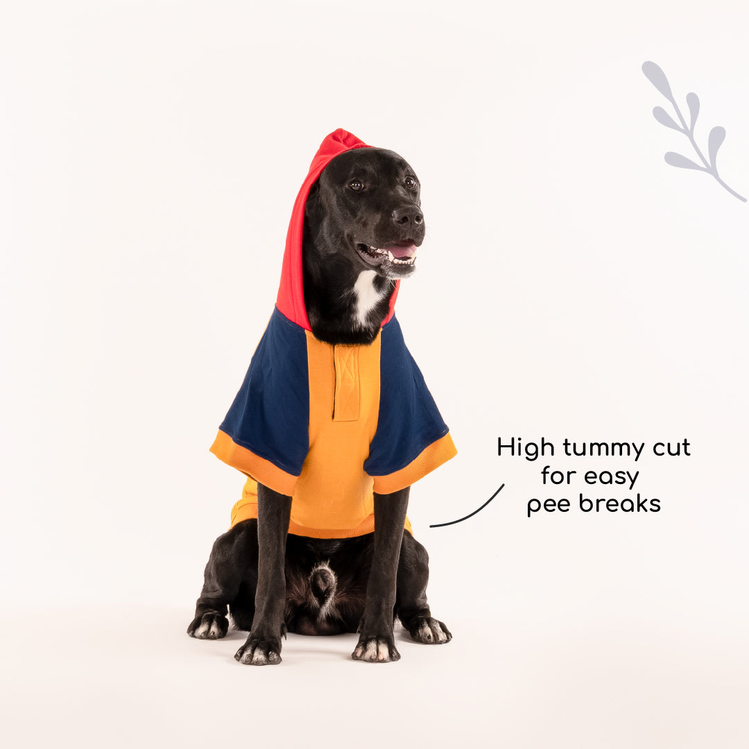 HUFT Colour Block Hoodie Pet Sweatshirt - Mustard - Heads Up For Tails