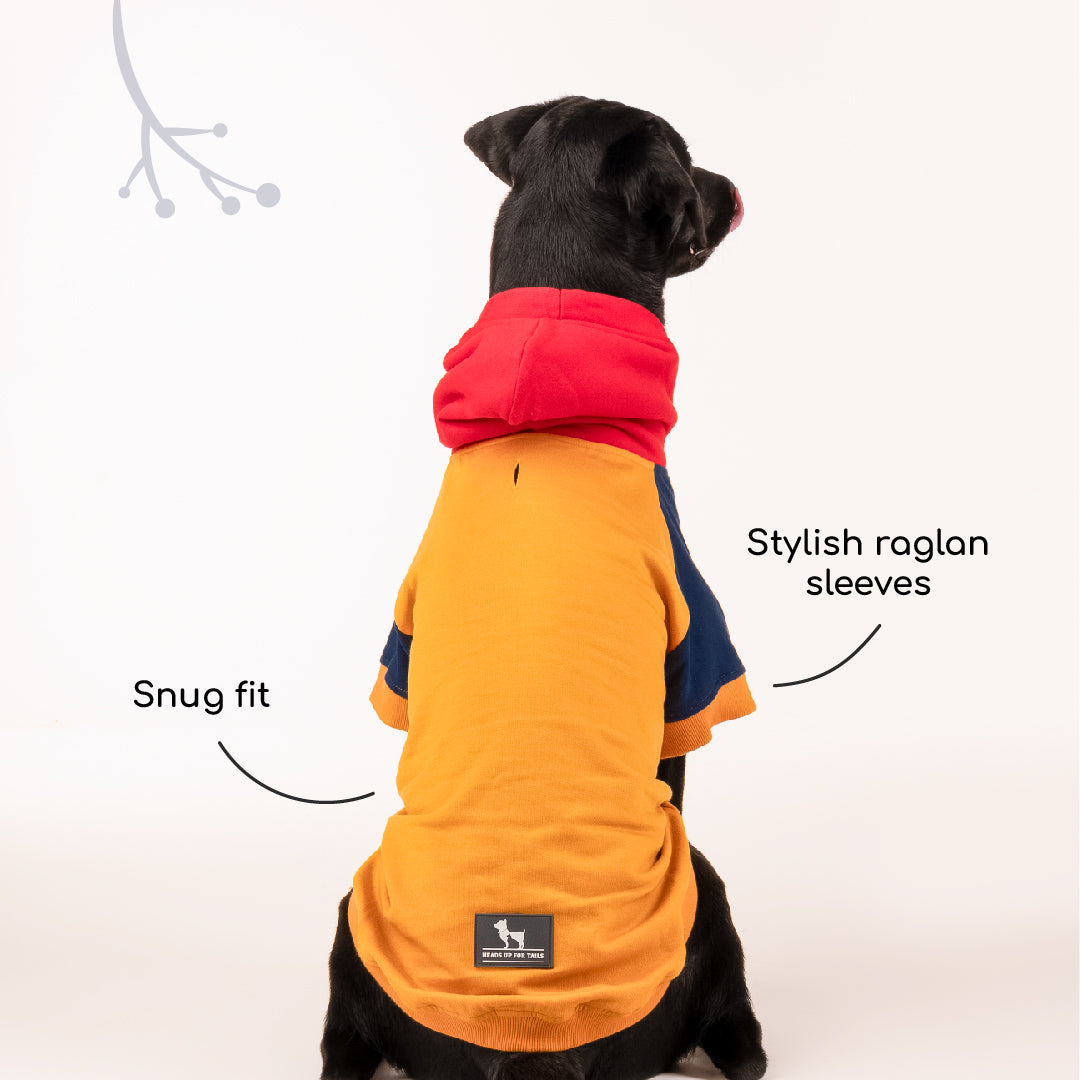 HUFT Colour Block Hoodie Pet Sweatshirt - Mustard - Heads Up For Tails