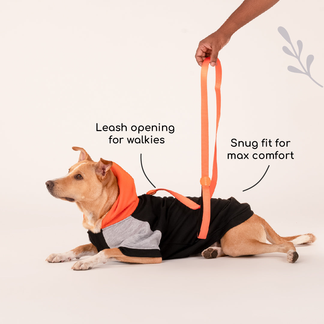 HUFT Colour Block Hoodie Sweatshirt For Pets- Black - Heads Up For Tails