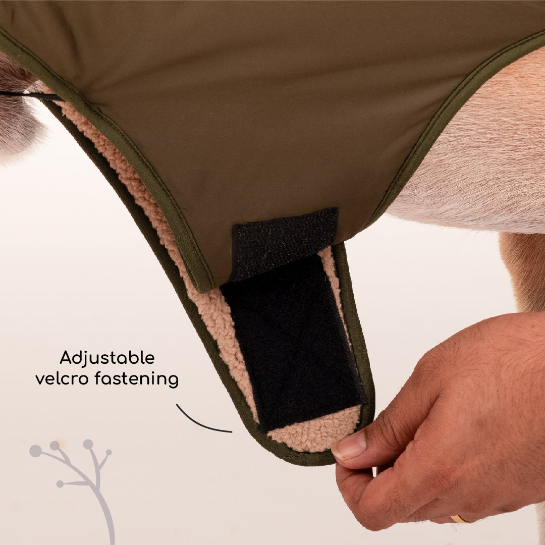 HUFT Wintersong Fur Jacket For Dog - Khaki Green - Heads Up For Tails