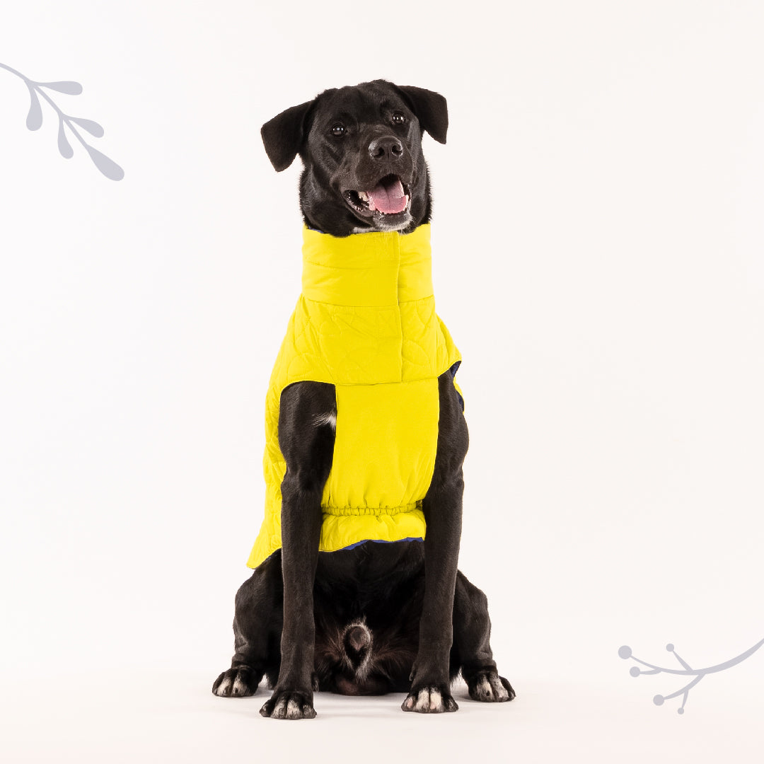 HUFT Cosy Pupper Reversible Dog Jacket - Lime Green - Heads Up For Tails