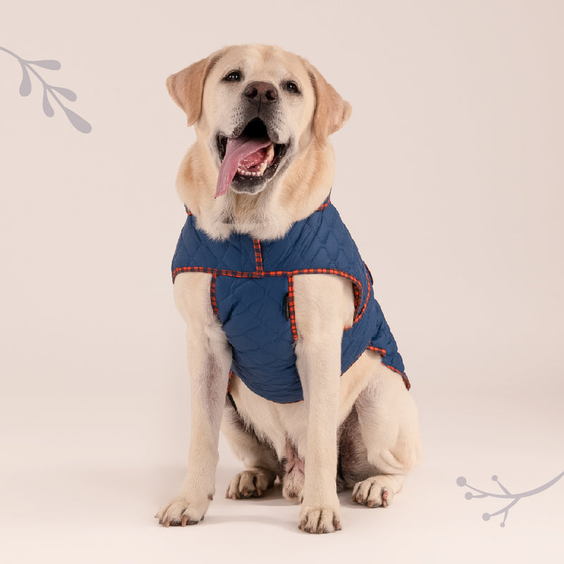 HUFT Grrberry Quilted Dog Jacket - Teal Blue - Heads Up For Tails