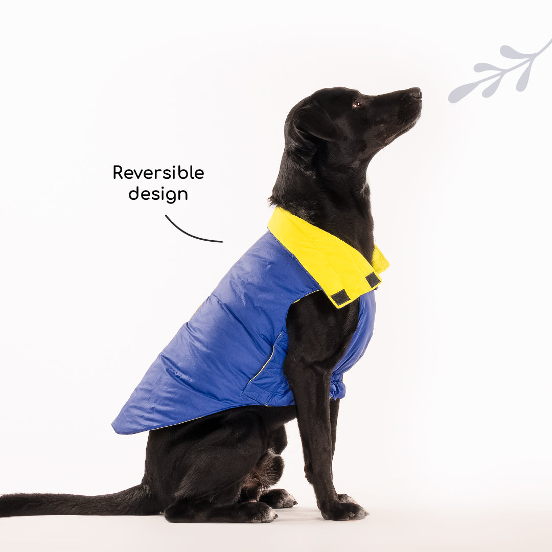 HUFT Cosy Pupper Reversible Dog Jacket - Lime Green - Heads Up For Tails