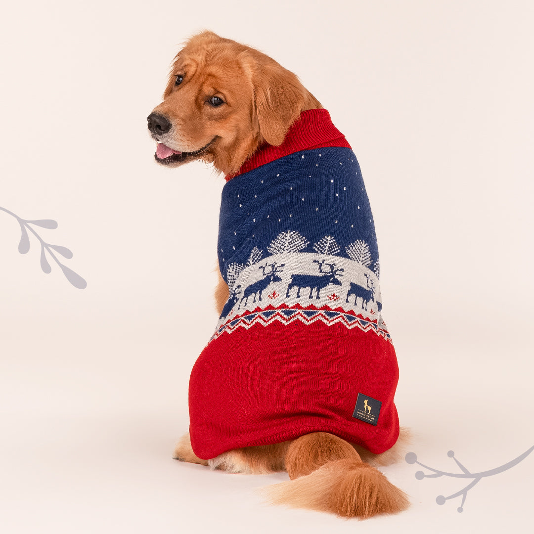HUFT Winter Miracle Sweater For Dogs - Red & Blue - Heads Up For Tails