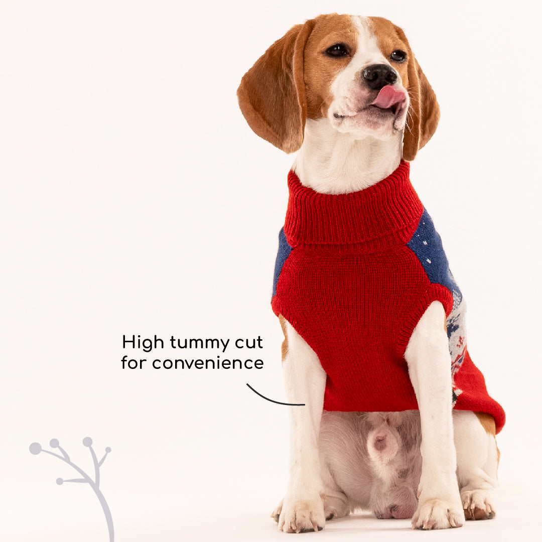 HUFT Winter Miracle Sweater For Dogs - Red & Blue - Heads Up For Tails