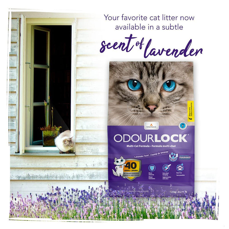Intersand Odourlock Multi Cat Formula Clumpable Cat Litter Lavender Field - 12 kg - Heads Up For Tails