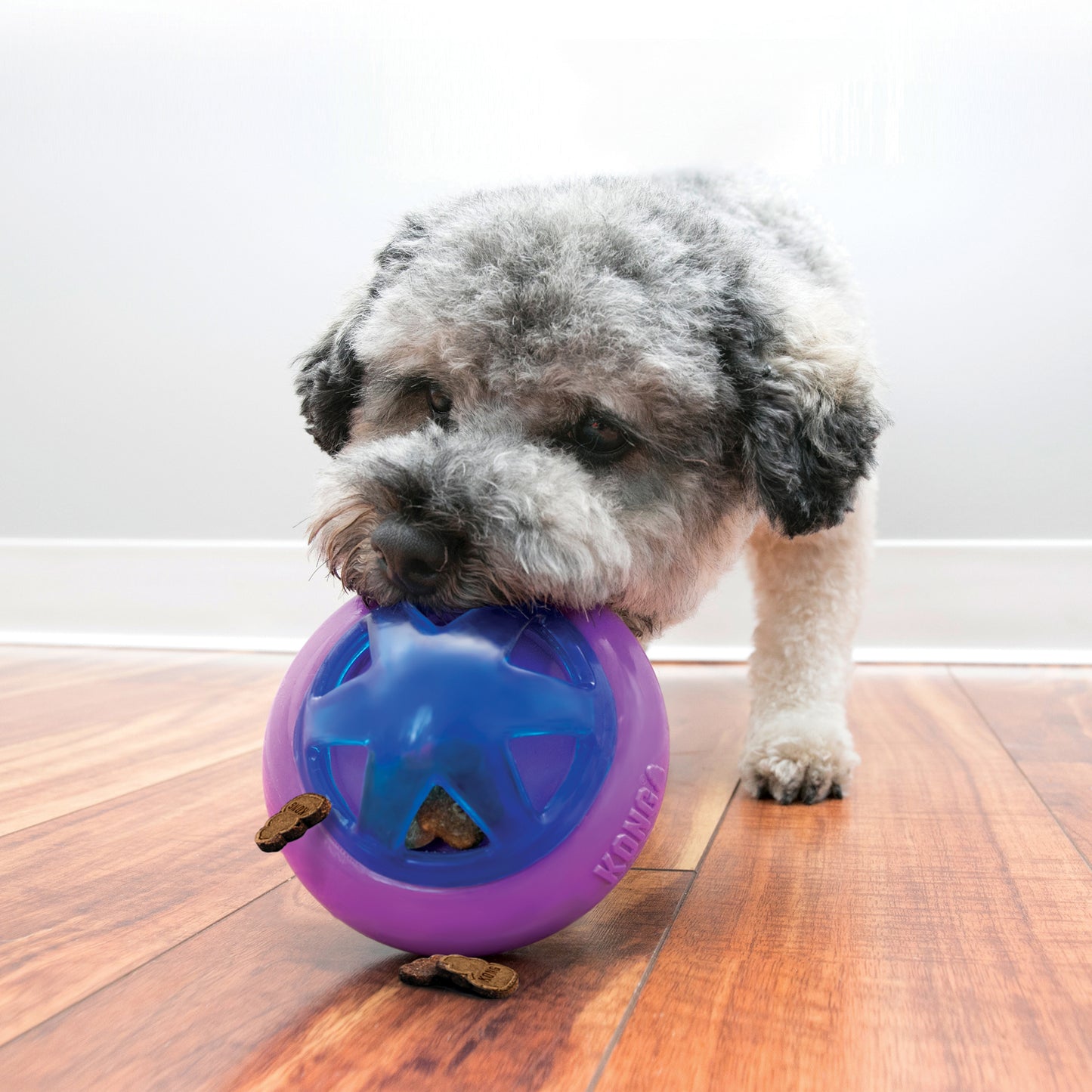 KONG Hopz Ball Dog Toy - Heads Up For Tails