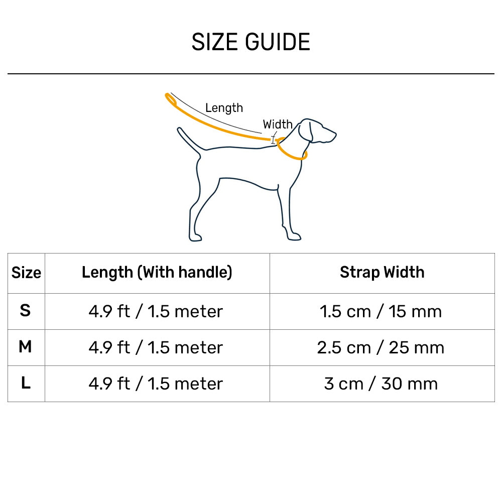Dash Dog Radiant Blaze Dual Handle Leash For Dog - Orange - Heads Up For Tails