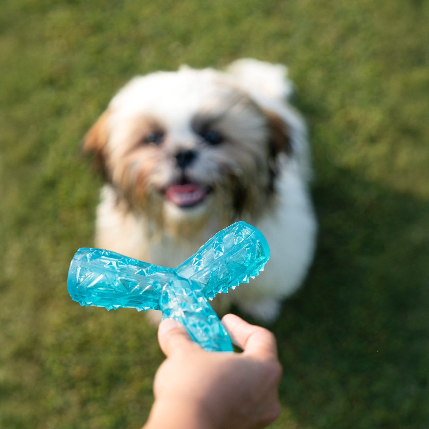 Dash Dog Squeak & Snack Chew Toy For Dog - Blue - Heads Up For Tails