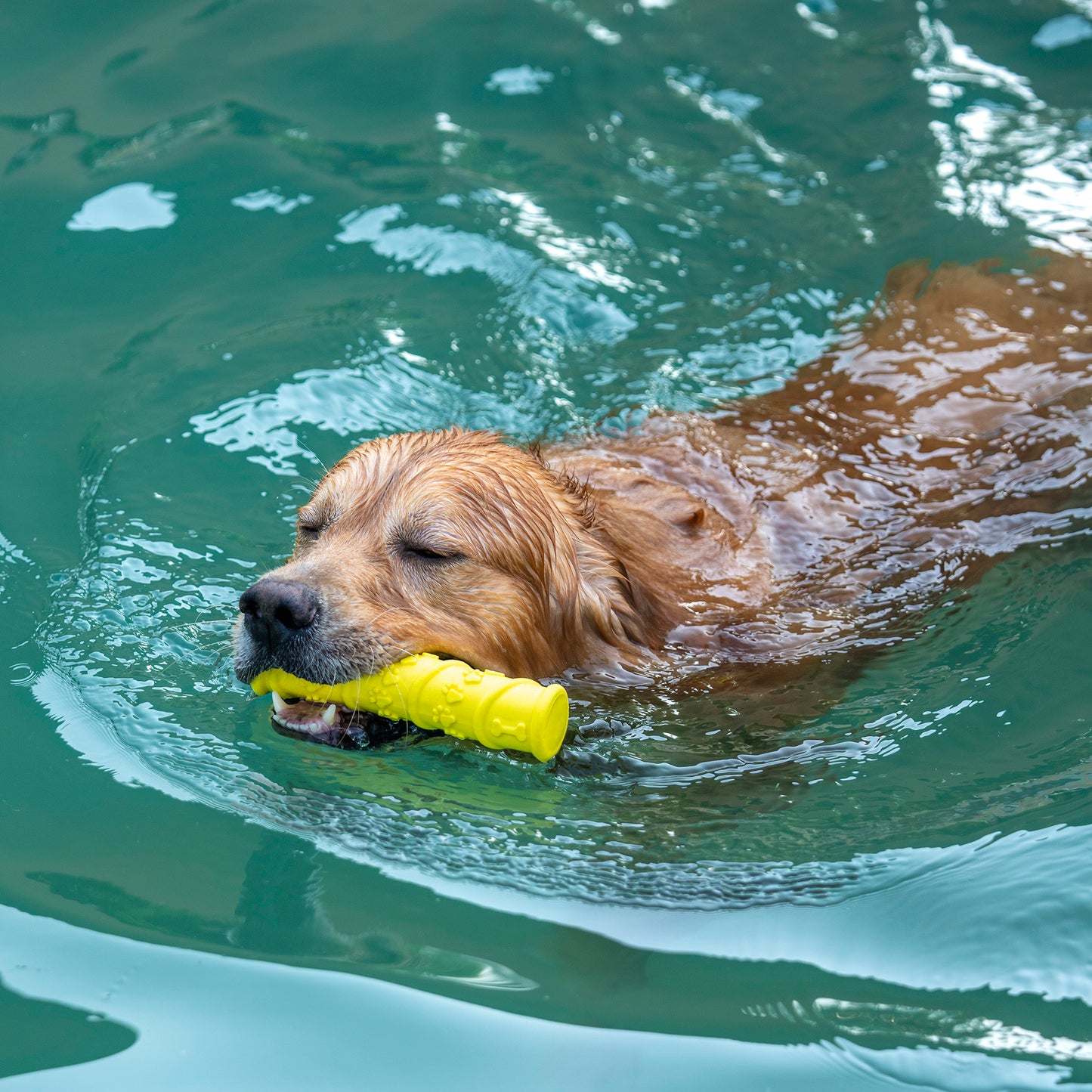 Dash Dog Mello-Yello Stick Toy For Dog - Yellow - Heads Up For Tails